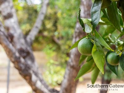 19 McKean Way, Parmelia WA 6167