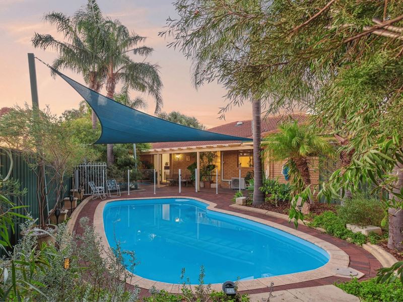 61 Redgum Avenue, Bellevue