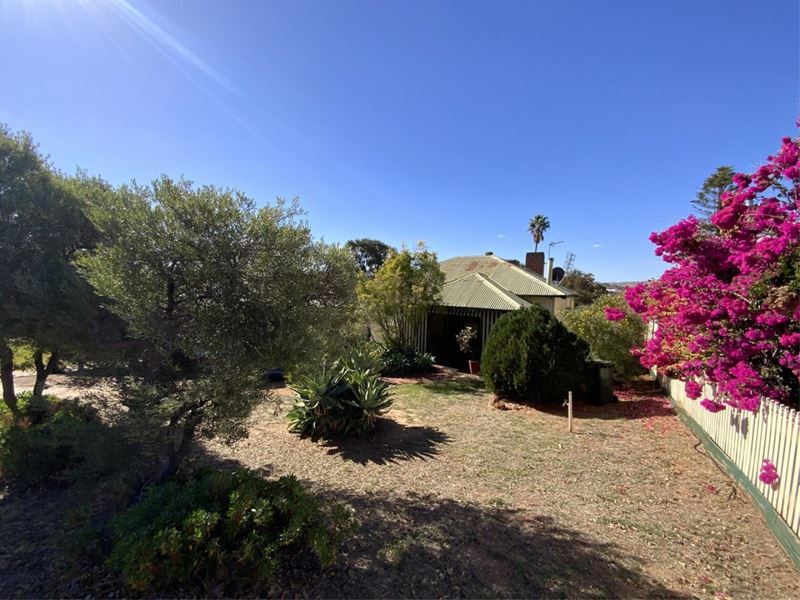 21 Duke Street, Toodyay WA 6566