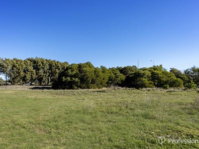 3 Beattie Road, Waggrakine WA 6530