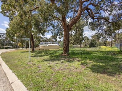 Lot 63, 29 Camm Road, Dandaragan WA 6507