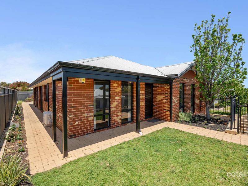 3 Petworth Street, Wellard