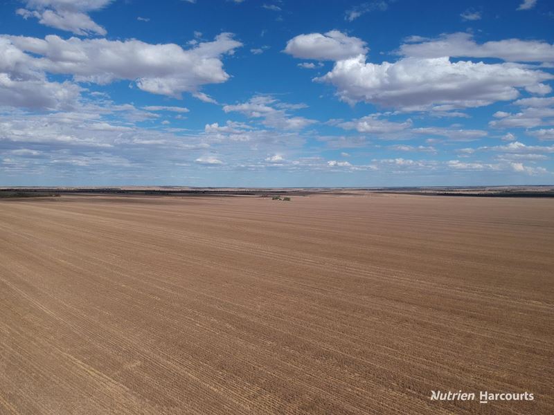 . McRoberts Road, Tenindewa