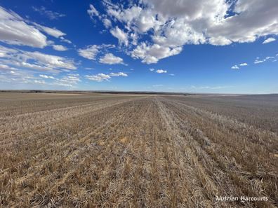 . McRoberts Road, Tenindewa WA 6632