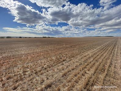. McRoberts Road, Tenindewa WA 6632