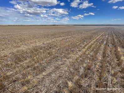 . McRoberts Road, Tenindewa WA 6632