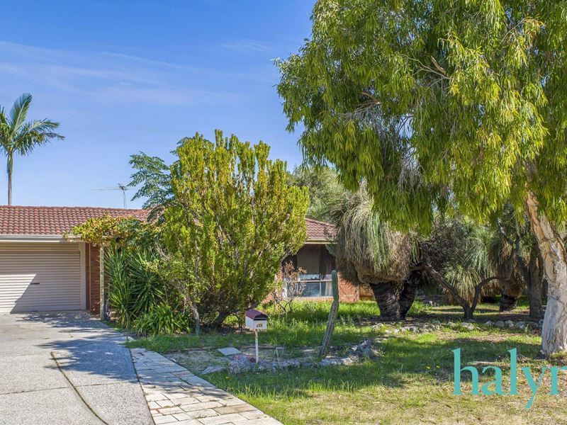 22A Quickly Crescent, Hamilton Hill WA 6163