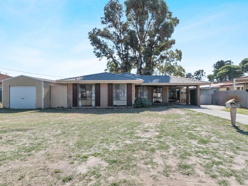 46 Haselmere Circus, Rockingham WA 6168