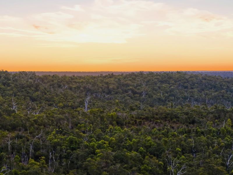 267 Gold Gully Road, East Nannup WA 6275