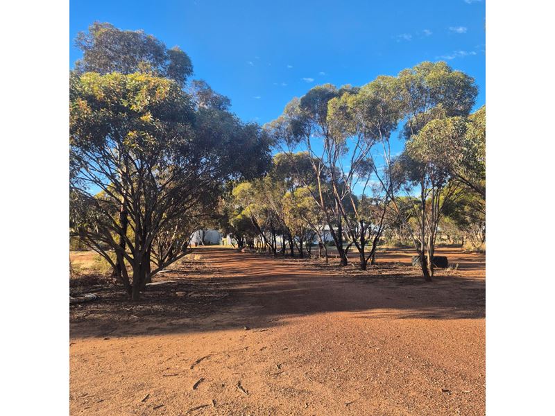 8 Cook Street, Kondinin