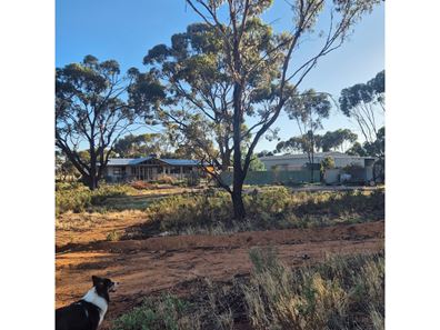 8 Cook Street, Kondinin WA 6367