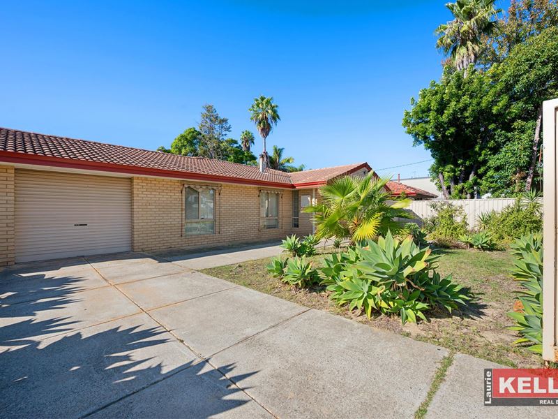 49 Gardiner  Street, Belmont