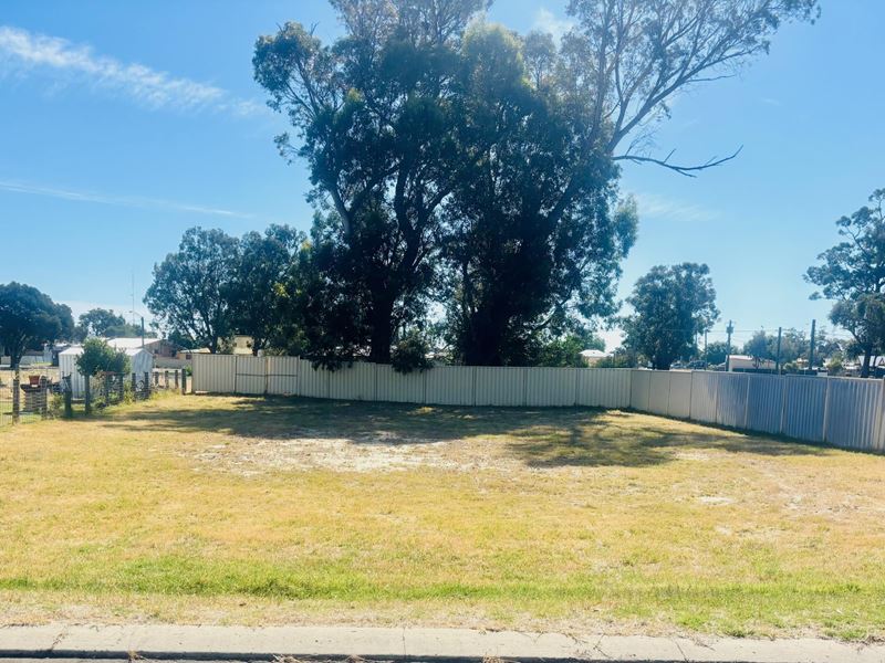9 MCDOWELL STREET, Yarloop WA 6218