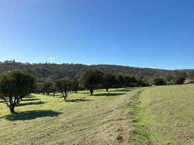 130 Kay Road, Bindoon WA 6502