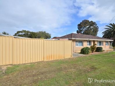 64 Latrobe Street, Yokine WA 6060