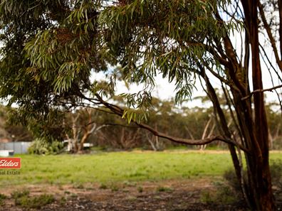 112 Parkes Street, Burracoppin WA 6421