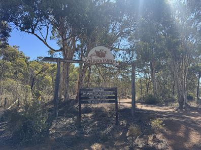 49 Powder Bark Road, Julimar WA 6567