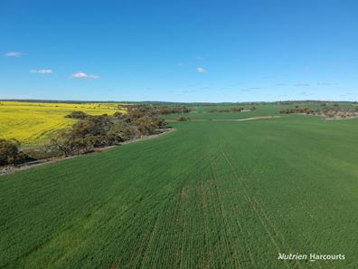 2174 Nanekine Road, Mingenew WA 6522