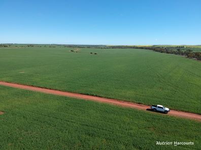 2174 Nanekine Road, Mingenew WA 6522