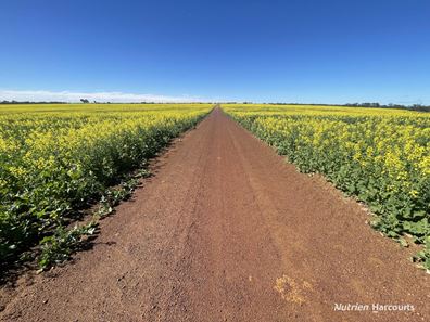 2174 Nanekine Road, Mingenew WA 6522