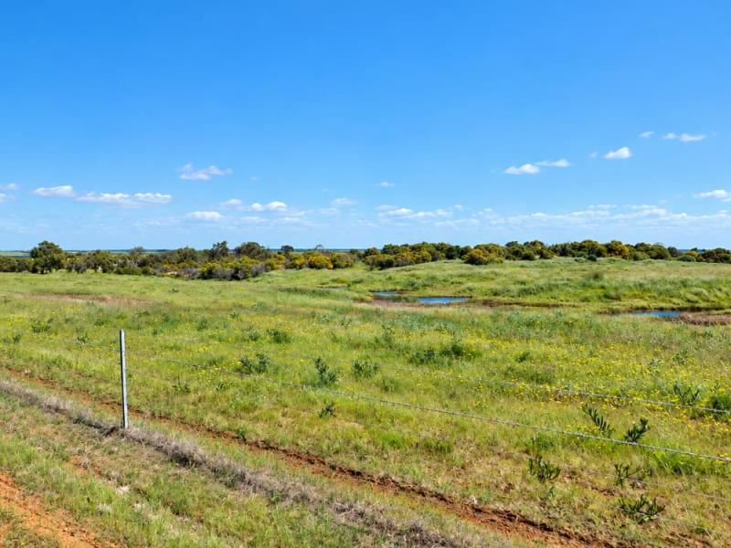 Lot 2087 Arthur Road, Georgina