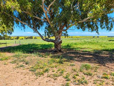 Lot 2087 Arthur Road, Georgina WA 6532