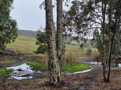 102 Tooday Glen, Chittering WA 6084