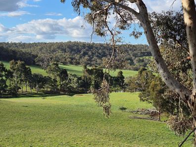 102 Tooday Glen, Chittering WA 6084