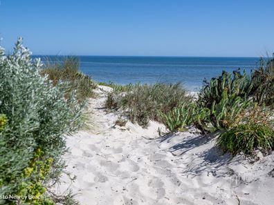 8 Winter Court, Peppermint Grove Beach WA 6271