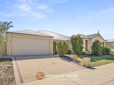 42 Pemberton Boulevard, Baldivis WA 6171