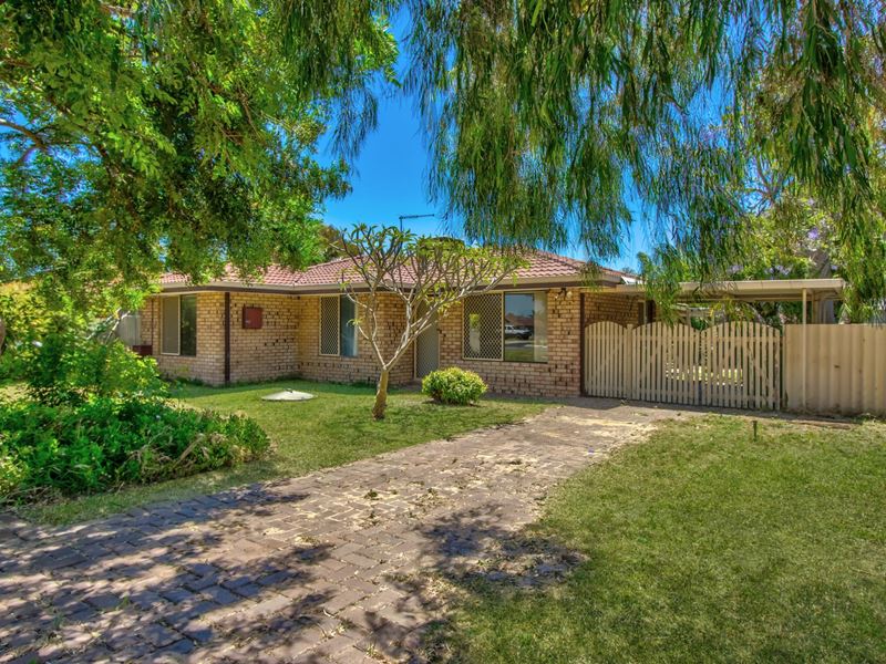 31 Jubilee Drive, Waikiki