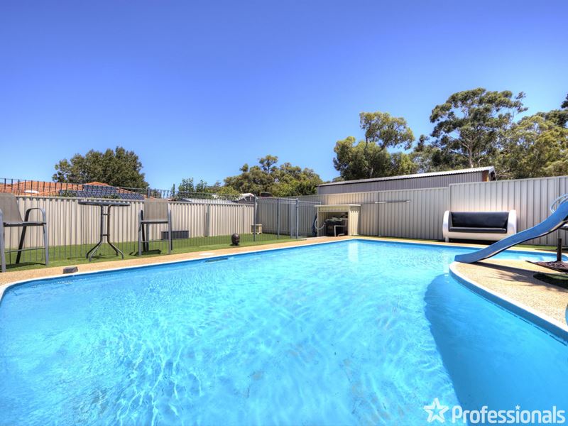 81 Calluna Way, Forrestfield