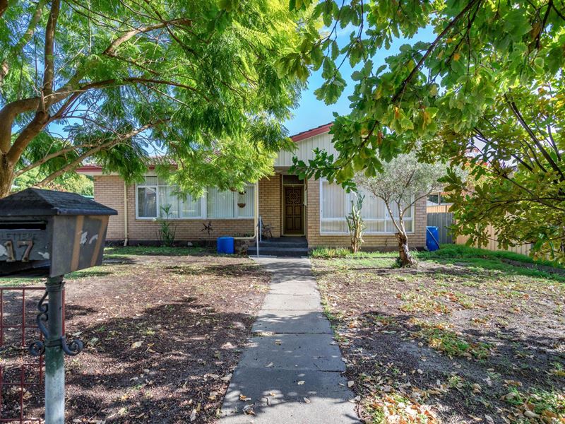 17 Spencer Road, Kelmscott