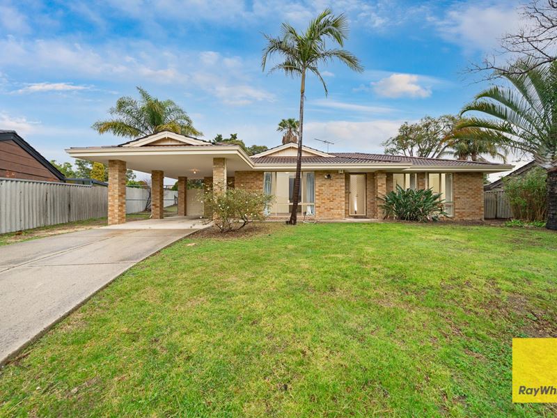 41 Leicester Square, Alexander Heights