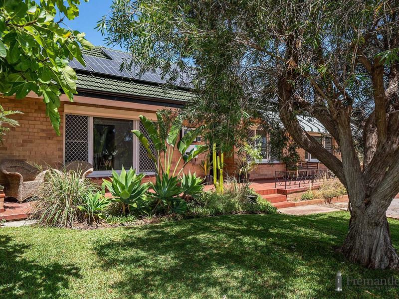 9 Gosch Street, Hamilton Hill