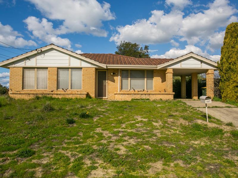 127 Sacramento Avenue, Beechboro