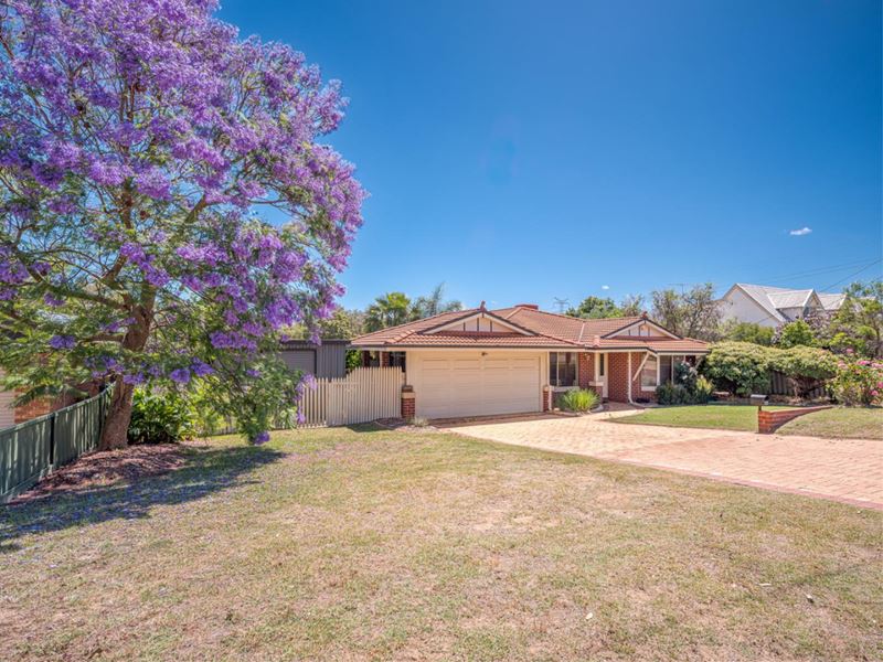 121 Innamincka Road, Greenmount WA 6056