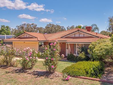 121 Innamincka Road, Greenmount WA 6056