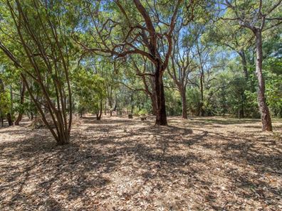 335 Wilura Road, Mundaring WA 6073