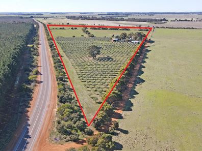 1544 Fisheries Road, Myrup WA 6450