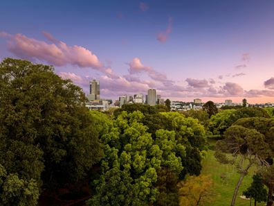 54/537 William Street, Mount Lawley WA 6050