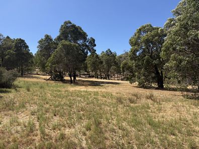 59 Lyons Road, Waroona WA 6215