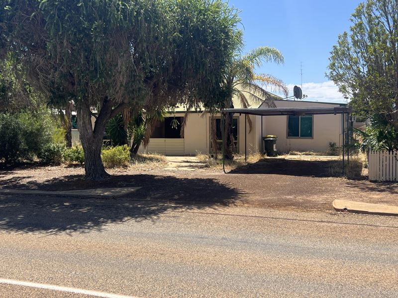 8 Longhurst Street, Narembeen