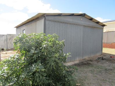 58 MacPherson Street, Carnamah WA 6517
