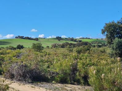2893 Bindoon- Moora Road, Mindarra WA 6503