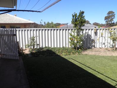 3 Shirreff Close, Australind WA 6233