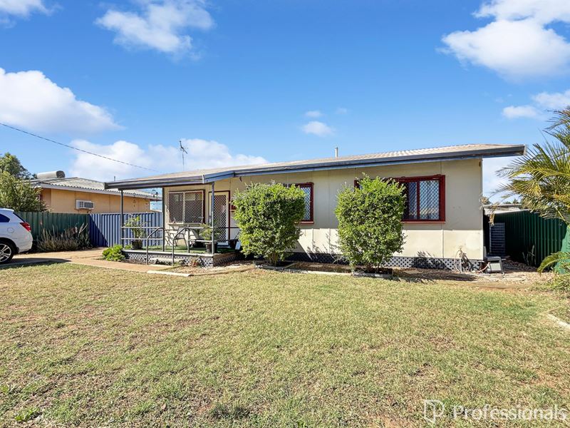 3 Craig Street, South Carnarvon