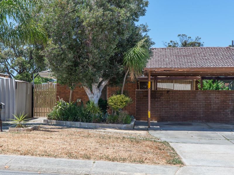 1B Ilford Place, Thornlie WA 6108