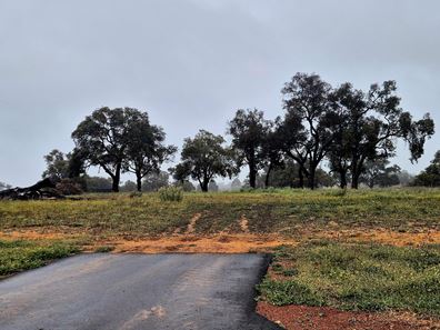 Lot 159,  Chuditch Way, Ginginup WA 6503