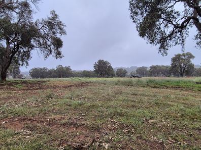 Lot 159,  Chuditch Way, Ginginup WA 6503
